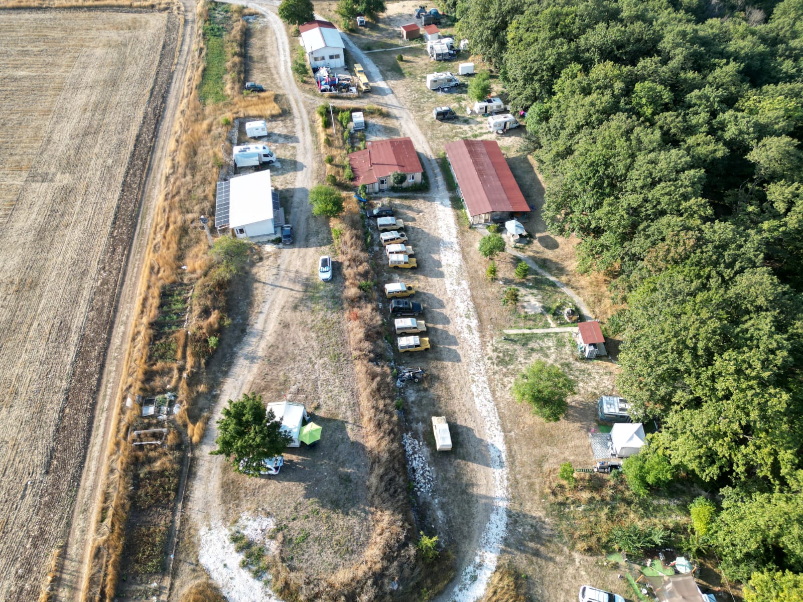 Camping Safari